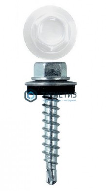 Саморез окраш.кров. 4,8х29 /9003/  (250 шт/уп)  Z |  «ТАТМЕТИЗ» Саморез окраш.кров. 4,8х29 /9003/  (250 шт/уп)  Z -  магазин крепежа «ТАТМЕТИЗ»